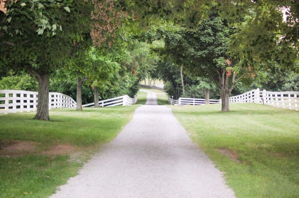 Driveway Graveling Service - Driveway Graveling Service Citrus County, Florida