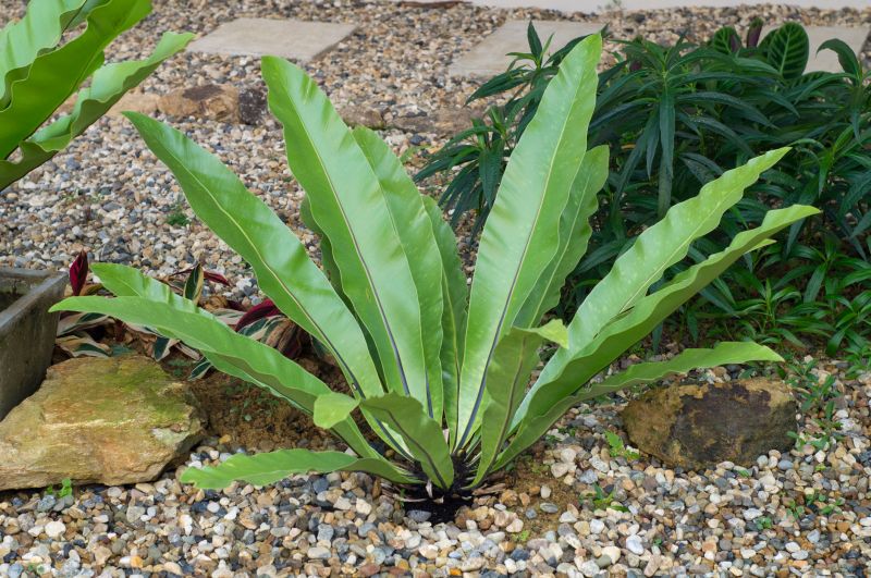 Budget-Smart Upgrades